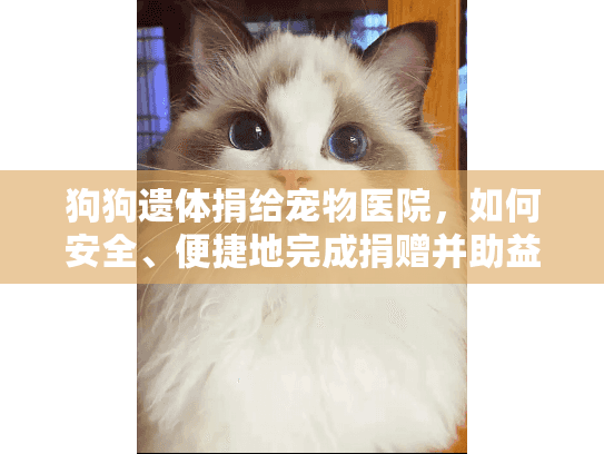 狗狗遗体捐给宠物医院，如何安全、便捷地完成捐赠并助益社会？