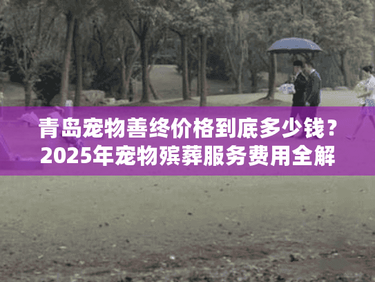 青岛宠物善终价格到底多少钱？2025年宠物殡葬服务费用全解析