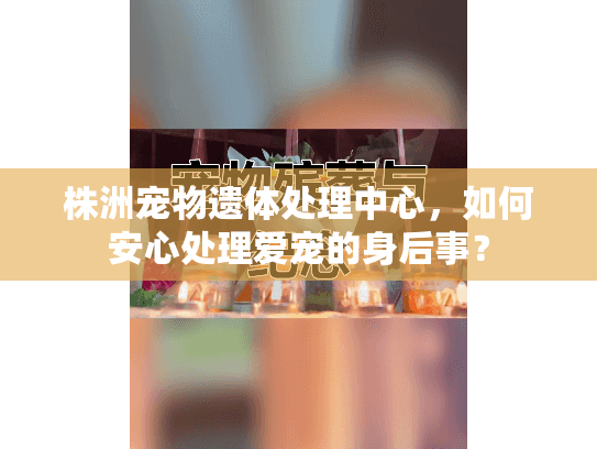 株洲宠物遗体处理中心，如何安心处理爱宠的身后事？