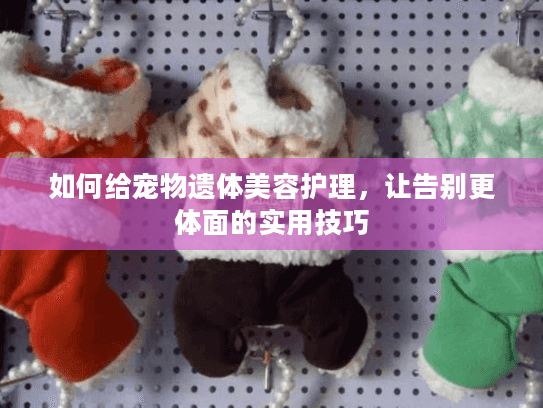 如何给宠物遗体美容护理，让告别更体面的实用技巧
