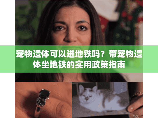 宠物遗体可以进地铁吗？带宠物遗体坐地铁的实用政策指南