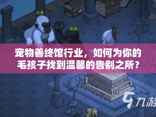 宠物善终馆行业，如何为你的毛孩子找到温馨的告别之所？