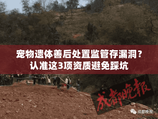 宠物遗体善后处置监管存漏洞？认准这3项资质避免踩坑