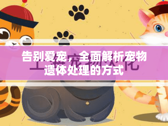 告别爱宠，全面解析宠物遗体处理的方式