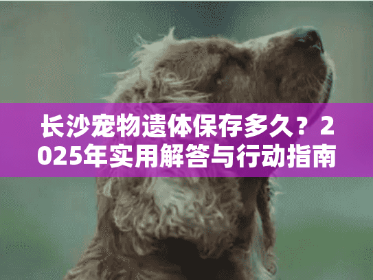 长沙宠物遗体保存多久？2025年实用解答与行动指南