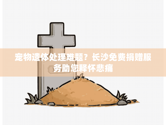 宠物遗体处理难题？长沙免费捐赠服务助您释怀悲痛