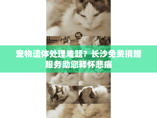 宠物遗体处理难题？长沙免费捐赠服务助您释怀悲痛