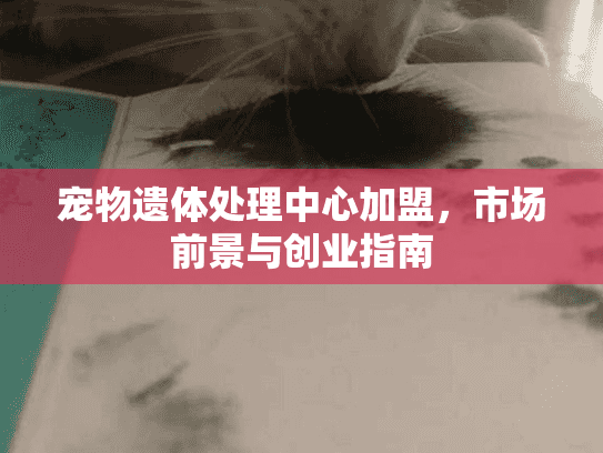 宠物遗体处理中心加盟，市场前景与创业指南