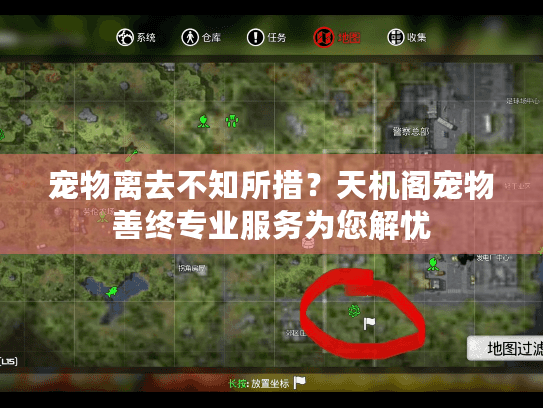 宠物离去不知所措？天机阁宠物善终专业服务为您解忧