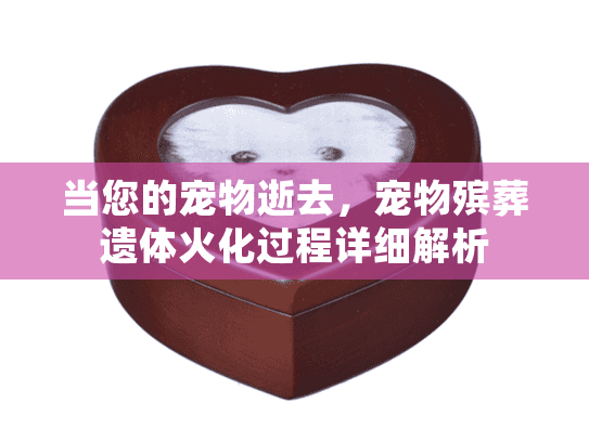 当您的宠物逝去，宠物殡葬遗体火化过程详细解析