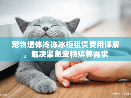 宠物遗体冷冻冰柜租赁费用详解，解决紧急宠物殡葬需求