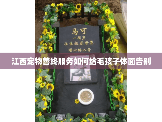 江西宠物善终服务如何给毛孩子体面告别