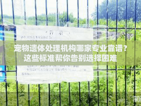 宠物遗体处理机构哪家专业靠谱？这些标准帮你告别选择困难