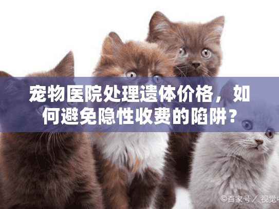宠物医院处理遗体价格，如何避免隐性收费的陷阱？