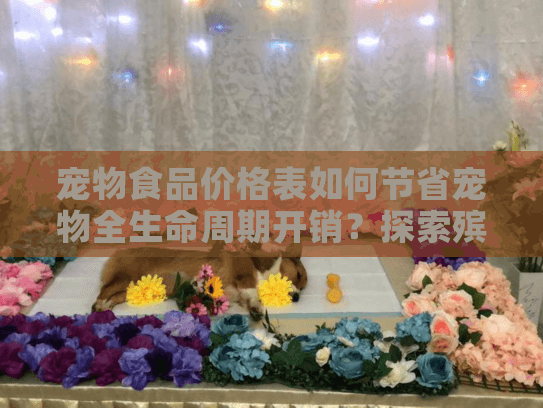 宠物食品价格表如何节省宠物全生命周期开销？探索殡葬服务费用真相