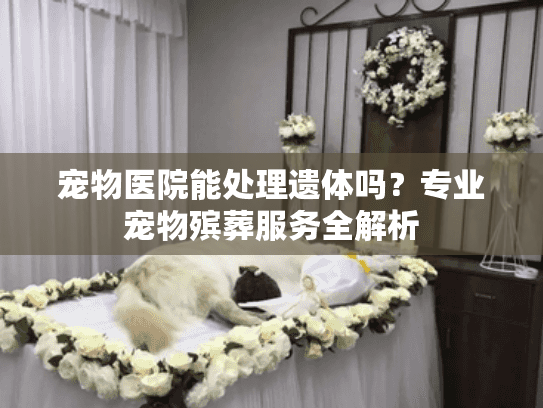 宠物医院能处理遗体吗？专业宠物殡葬服务全解析