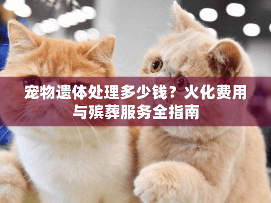 宠物遗体处理多少钱？火化费用与殡葬服务全指南