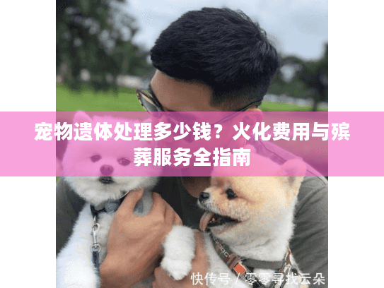 宠物遗体处理多少钱？火化费用与殡葬服务全指南