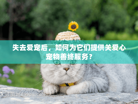失去爱宠后，如何为它们提供关爱心宠物善终服务？