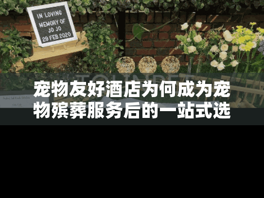 宠物友好酒店为何成为宠物殡葬服务后的一站式选择? 宠物友好酒店为何成为宠物殡葬服务后的一站式选择?