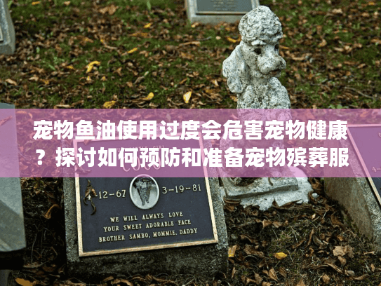 宠物鱼油使用过度会危害宠物健康?探讨如何预防和准备宠物殡葬服务 宠物鱼油使用过度会危害宠物健康?探讨如何预防和准备宠物殡葬服务