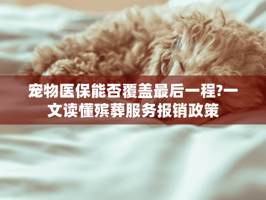 宠物医保能否覆盖最后一程?一文读懂殡葬服务报销政策