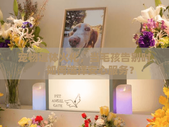 宠物遗体火化，当毛孩告别时，如何选择安心服务？