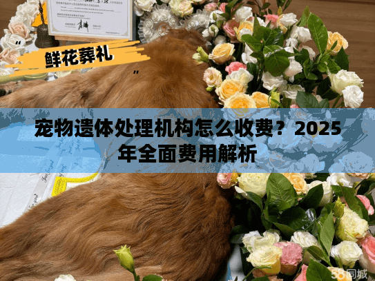 宠物遗体处理机构怎么收费？2025年全面费用解析
