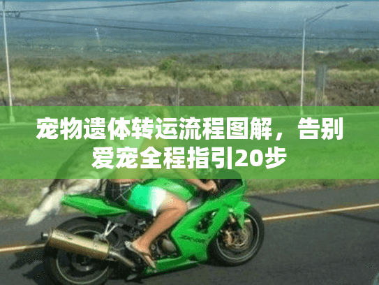 宠物遗体转运流程图解，告别爱宠全程指引20步