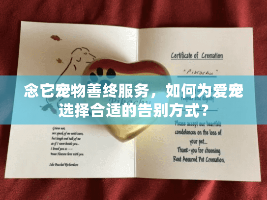 念它宠物善终服务，如何为爱宠选择合适的告别方式？