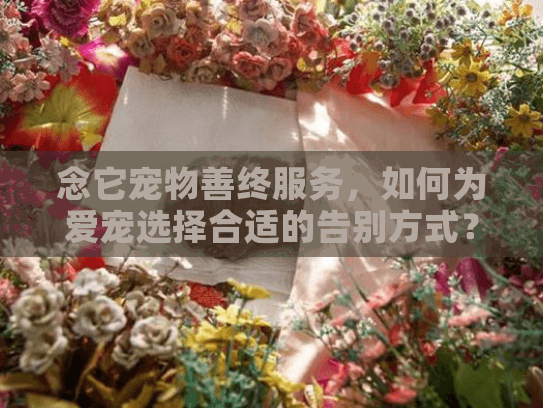念它宠物善终服务，如何为爱宠选择合适的告别方式？