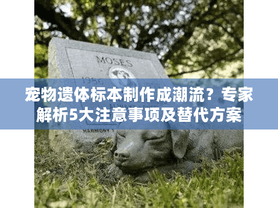 宠物遗体标本制作成潮流？专家解析5大注意事项及替代方案
