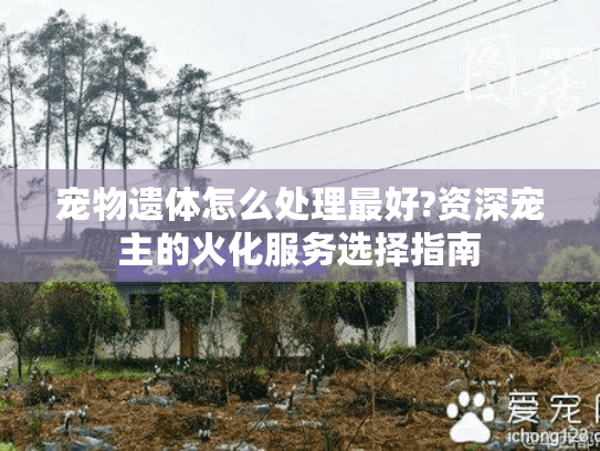 宠物遗体怎么处理最好?资深宠主的火化服务选择指南