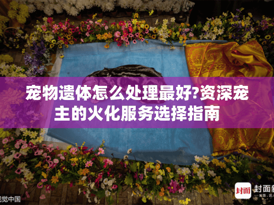 宠物遗体怎么处理最好?资深宠主的火化服务选择指南
