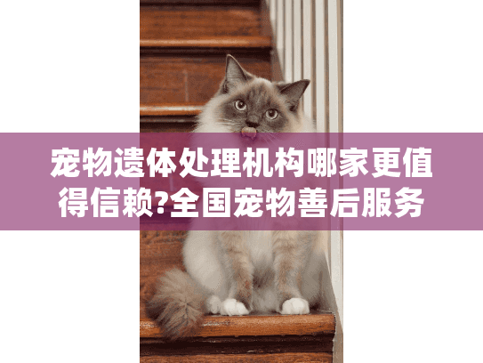 宠物遗体处理机构哪家更值得信赖?全国宠物善后服务评选揭晓