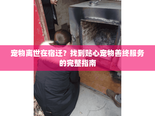 宠物离世在宿迁？找到贴心宠物善终服务的完整指南