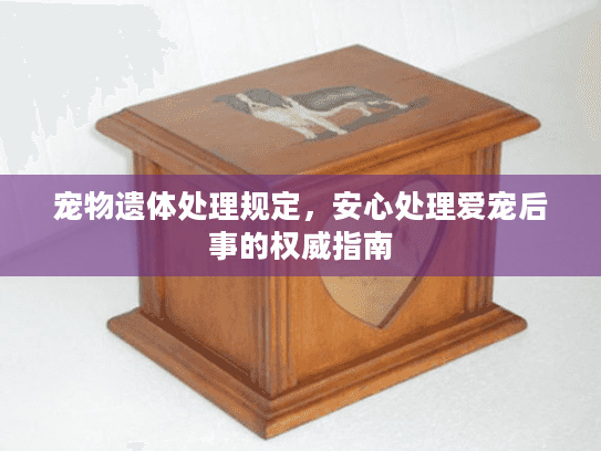 宠物遗体处理规定，安心处理爱宠后事的权威指南