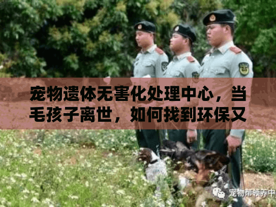 宠物遗体无害化处理中心，当毛孩子离世，如何找到环保又安心的服务？