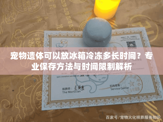 宠物遗体可以放冰箱冷冻多长时间？专业保存方法与时间限制解析