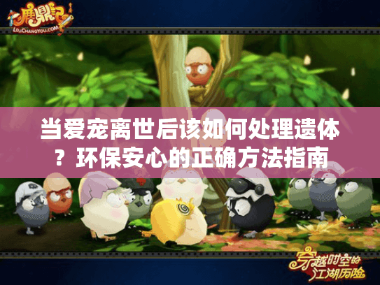 当爱宠离世后该如何处理遗体？环保安心的正确方法指南