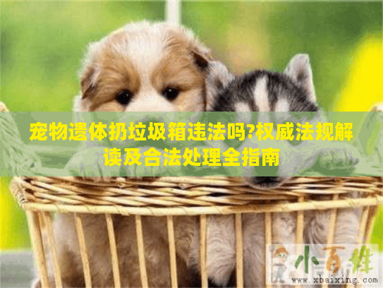 宠物遗体扔垃圾箱违法吗?权威法规解读及合法处理全指南