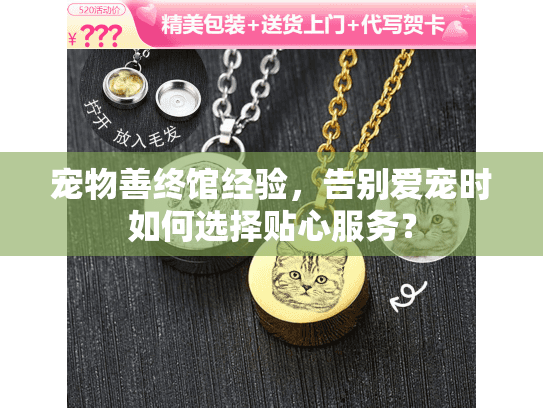 宠物善终馆经验，告别爱宠时如何选择贴心服务？