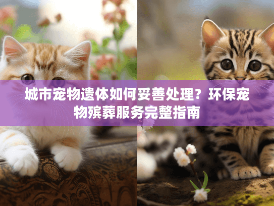 城市宠物遗体如何妥善处理？环保宠物殡葬服务完整指南