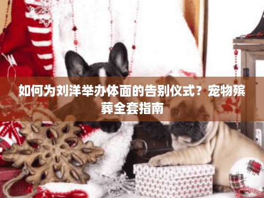 如何为刘洋举办体面的告别仪式？宠物殡葬全套指南