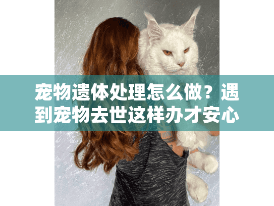 宠物遗体处理怎么做?遇到宠物去世这样办才安心 宠物遗体处理怎么做?遇到宠物去世这样办才安心