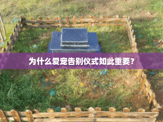 为什么爱宠告别仪式如此重要？