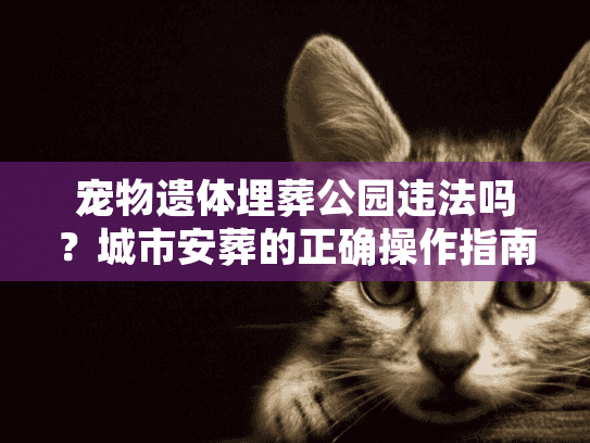 宠物遗体埋葬公园违法吗？城市安葬的正确操作指南
