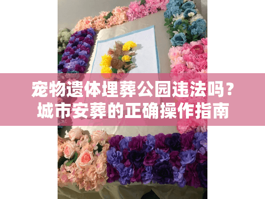 宠物遗体埋葬公园违法吗？城市安葬的正确操作指南