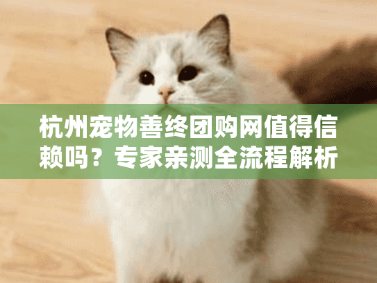 杭州宠物善终团购网值得信赖吗？专家亲测全流程解析