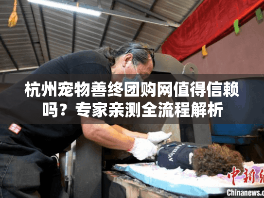 杭州宠物善终团购网值得信赖吗？专家亲测全流程解析